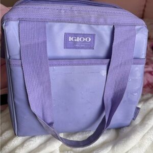 Igloo Purple Women's Bag